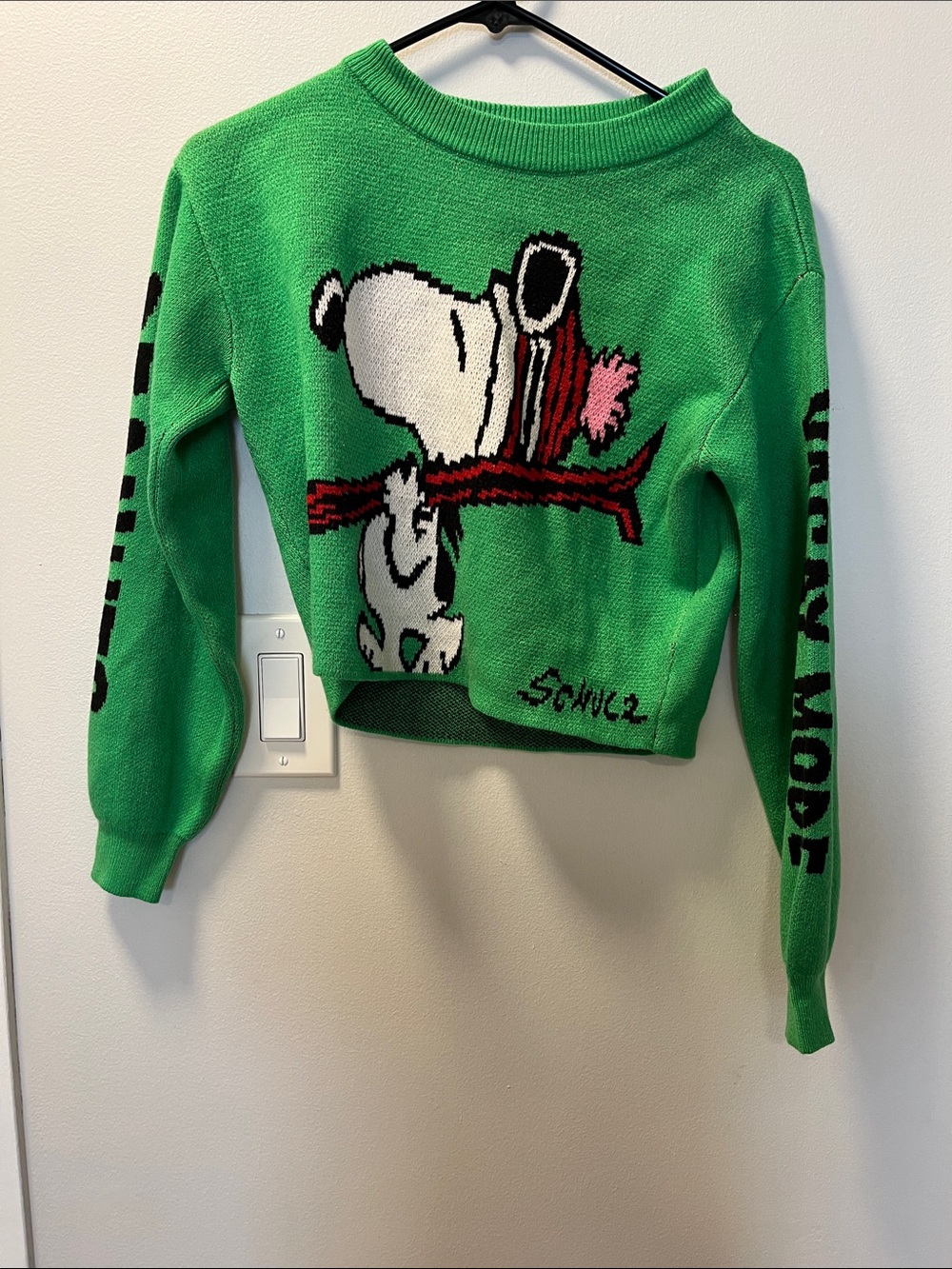 H&M Green Snoopy Graphic Cropped Sweater